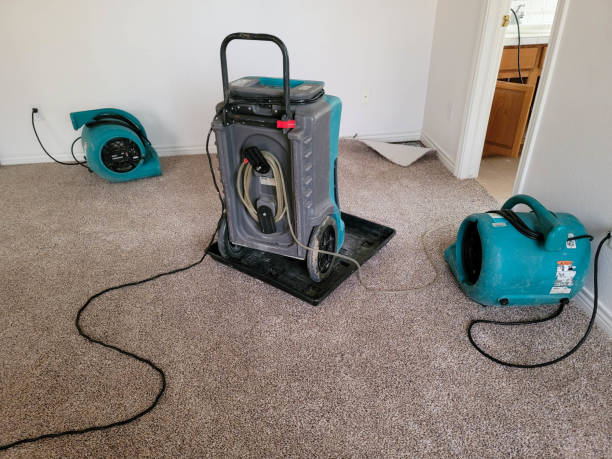 Best Mold removal after water damage  in Gibsonia, PA
