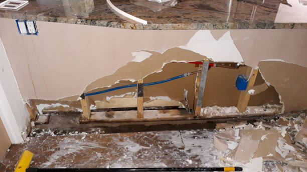 Best Water damage restoration specialists  in Gibsonia, PA