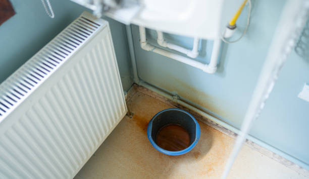Best Local water damage restoration  in Gibsonia, PA