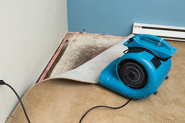 Best Fire Damage Restoration  in Gibsonia, PA